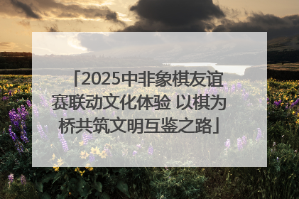 2025中非象棋友谊赛联动文化体验 以棋为桥共筑文明互鉴之路